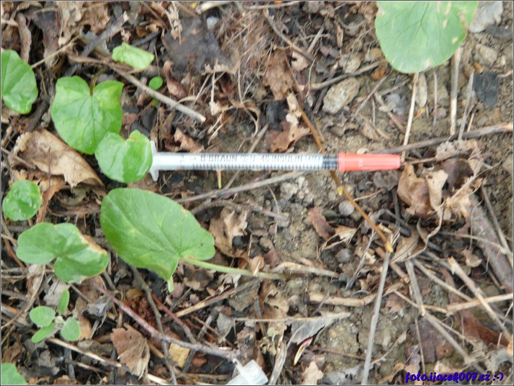 Klikněte pro zobrazení původního obrázku